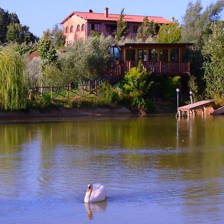Agriturismo Cameli Certaldo Buitenkant foto